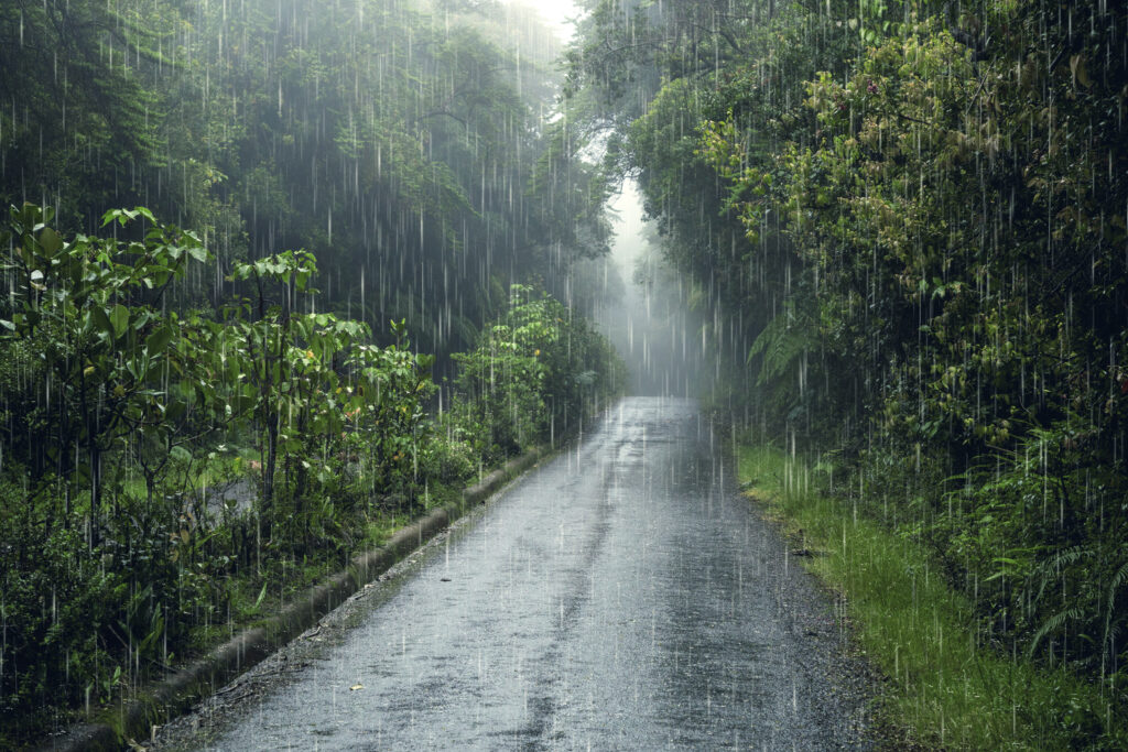 A road in Ubud when it's raining